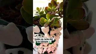 Diy wall decor || Kendin yap harika fikir! || Salça kutusundan saksı… #akrilikpainting #geridönüşüm