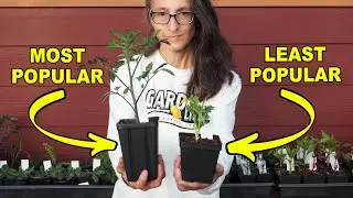 Most and Least Popular Plant Starts