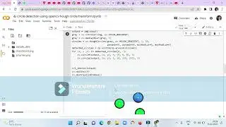 Circle detection using opencv hough circle transform  | OpenCV