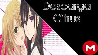 Descarga Citrus CAPITULOS 3/12 (Zippyshare) (Mega) (SUB.ESP) (720p)