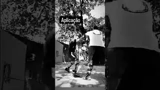 Wing Chun - Technical training and aplication