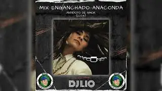 Mix Enganchado Anaconda (Antidoto de Amor) - Dj Lio