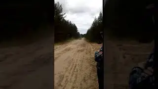 Багги
