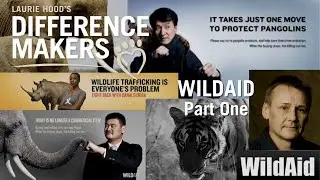 S2 Ep5:  Peter Knights — When the Buying Stops, the Killing Can Too