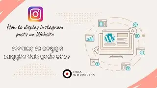 How to display instagram posts on Website
