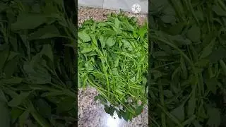 Saag Recipe#youtubeshorts #shorts #recipe
