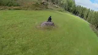 Lunch session in the woods