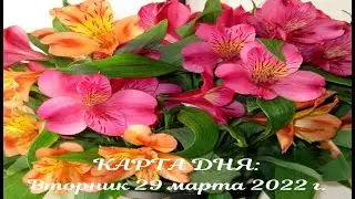 КАРТА ДНЯ 29 марта 2022 г. | Вторник | ГОРОСКОП НА СЕГОДНЯ | ТАРО ПРОГНОЗ