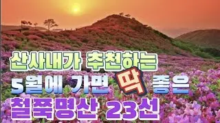 5월에 가면 딱 좋은 철쭉 명산23선ㅣ5월초에서 6월초까지 철쭉명산 다녀오세요ㅣ소장용