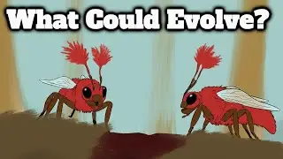 Seed World: Pigs, Bees & Earthworms