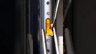 What’s inside my iPhone port?! 🤮