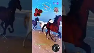 Моёхозяйство #automobile