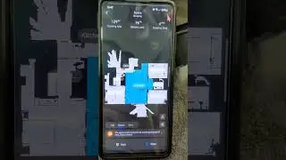 Using the app to maintain the Roborock vacuum 