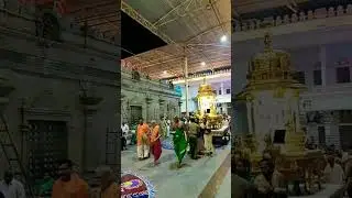 ಶ್ರೀ ರಾಯರ ಸನ್ನಿದಿ 🙏ಶ್ರೀನಿವಾಸ ದೇವರ ರಥೋತ್ಸವ 🙏