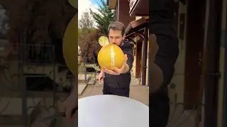 Pomelo🍈