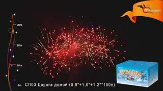 СП03 Дорога домой www.salut-vl.ru