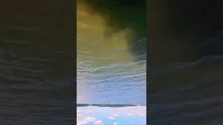 гвоздестояние