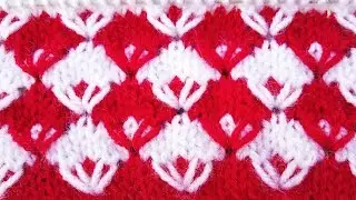 Two colour excellent pattern (In Hindi)