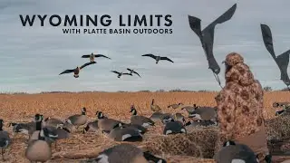 Wyoming Goose Hunt w/ Platte Basin Outdoors