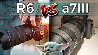 CANON EOS R6 vs SONY A7III - Mi experiencia en la vida real