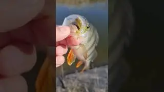 ИНТРО к новому видео!!! Скоро на канале!!! 