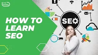 How to Learn SEO