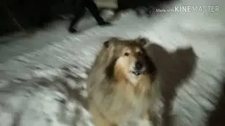 ТЁМНЫЕ ИГРЫ!!!