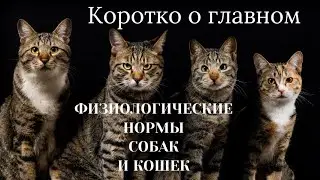 Коротко  о главном.Физиологические нормы у собак и кошек.