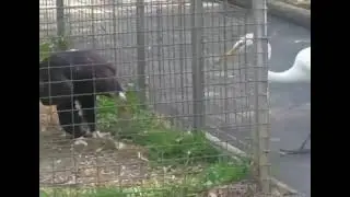 не суй свой нос куда не надо