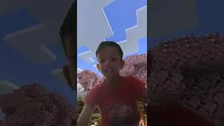mine craft be like
