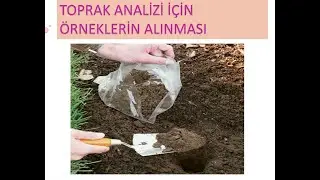 Toprak Numunesi alma ve TOPRAK ANALİZİ
