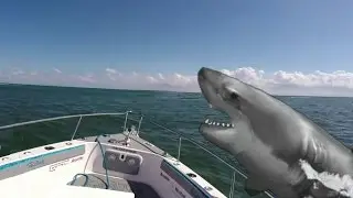 SHARK ANIMATION---- ATTACKS BOAT greenscreen