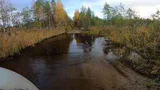 Заброска в лесную Избу! Карелия! Сентябрь 2020