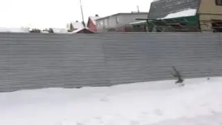 Каратын