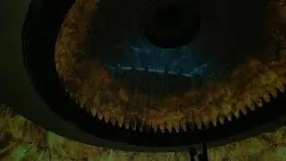 VID 20190223 160306