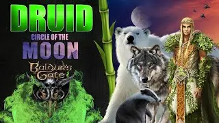 Baldur's Gate 3 Druid Class Build (Circle of the Moon)