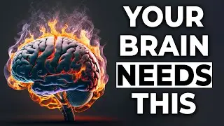 Mental Health Over 50: The 7 Foods You Need for a Healthy Mind