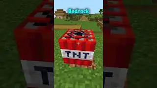 Minecraft Java VS Minecraft Bedrock 🤩🤔 はいよろこんで