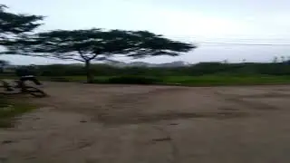 Chetak Walker Dancing!!