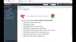 SN Utils Chrome Extension Basics