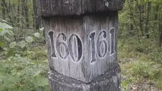 лесной овраг