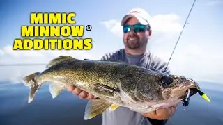 Mimic Minnow Limber Leech/Critter Craw