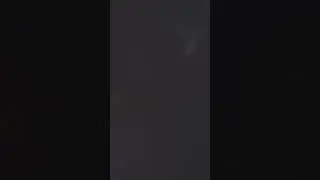 31 октября 2023 г.