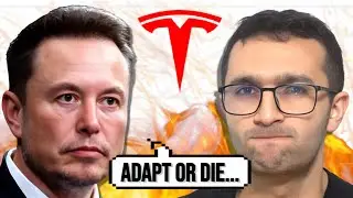 Elon Musk WARNS The Competition + Lots of Tesla Good News!