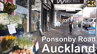 🇳🇿 AUCKLAND | Ponsonby Road - world coolest neighbourhood 2023 top 50
