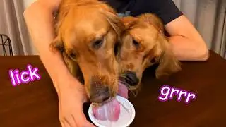 Treats That Your Dogs Can Try!🍓