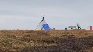 Поход в ямальскую тундру. Дошёл до чума ненцев.