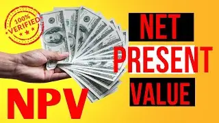 Meaning of Net Present Value (NPV)  #profitability #profit #business #finance #profitable