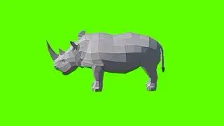 Green screen Rhino video| Rhino idle green screen