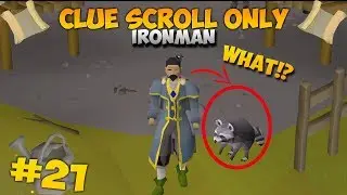 I DID NOT EXPECT TO GET THIS...! - Clue Scroll Only Ironman #21